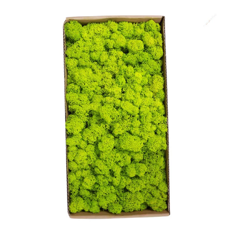 1500g-Simulation-Plants-Eternal-Life-Moss-Garden-Home-Decor-Wall-DIY-Flower-Material-Mini-Garden-Micro-2.webp